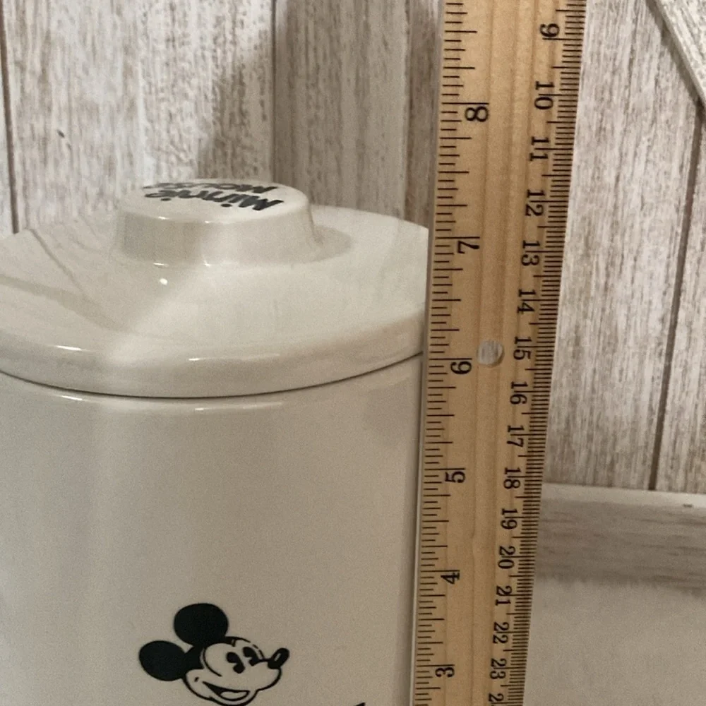 Disney Minnie Mouse Canister